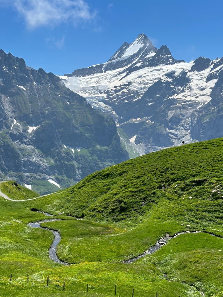 Swiss Alps