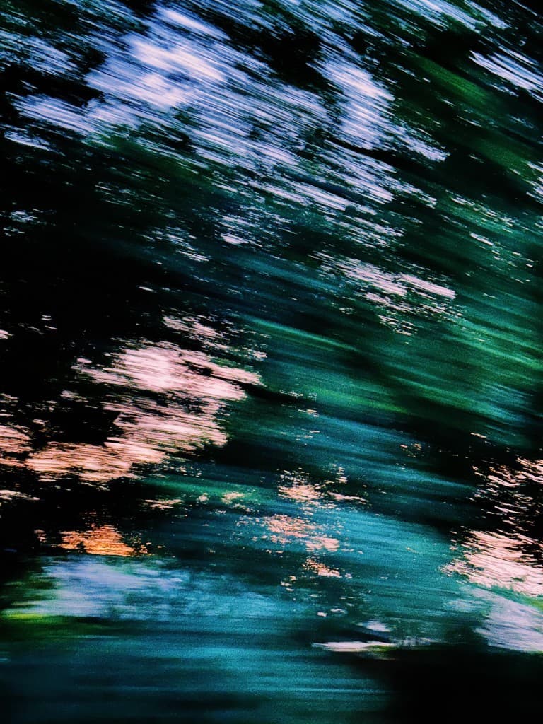 Motion blur through the trees